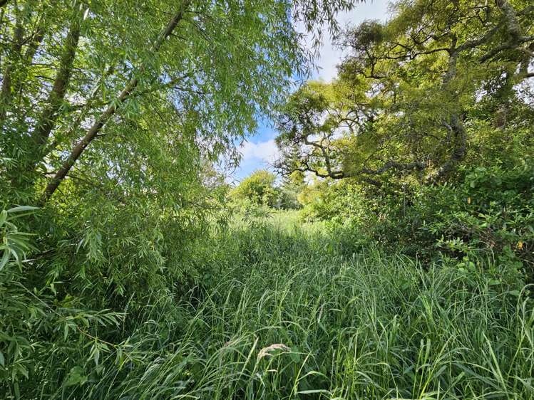 55 Nelson Quay Cobden_11