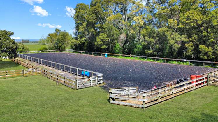 97f Poplar Lane Edgecumbe_9