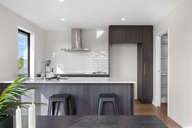 9 Lumino Terrace Peacocke_1