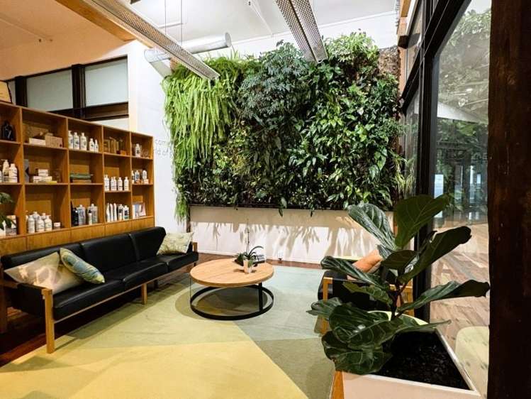 Tenancy 2A/125 The Strand Parnell_6