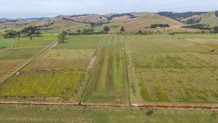 Back Miranda Road Waitakaruru_8