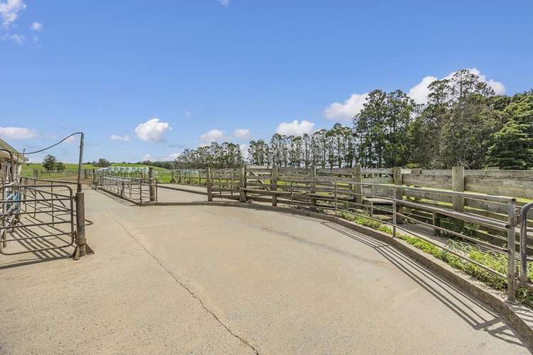 473 Kaipara Flats Road Kaipara Flats_28