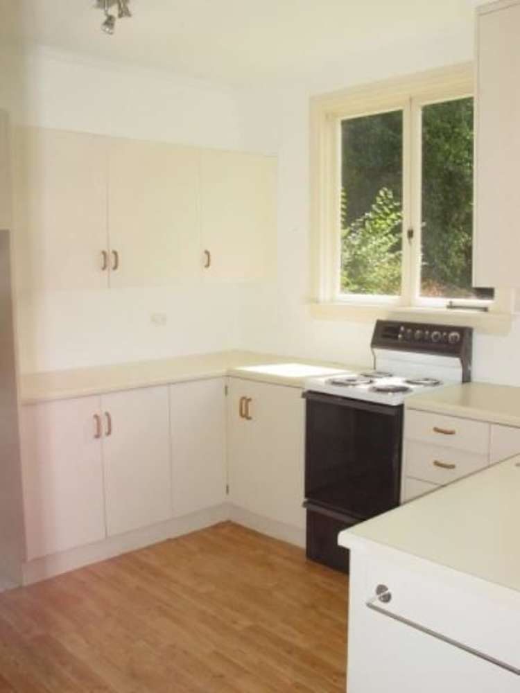 65 Warrender Street North Dunedin_1