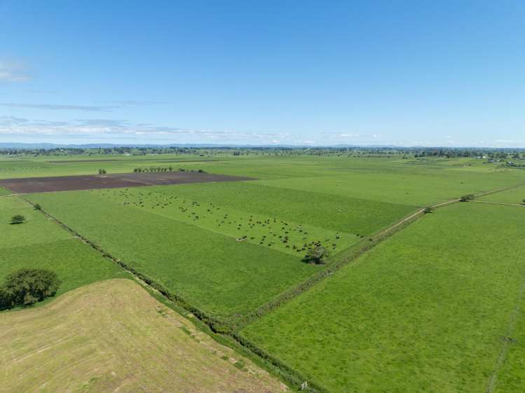 254 Muir Road Te Awamutu_24