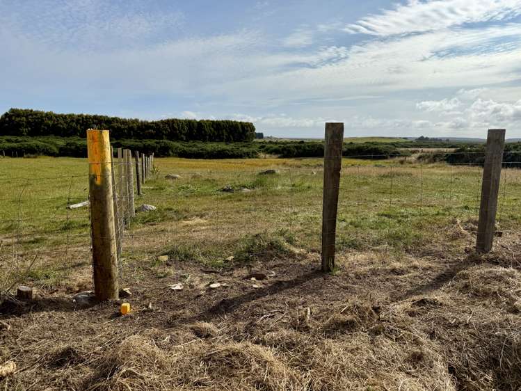 19 Chalmers Road Greenhills_10