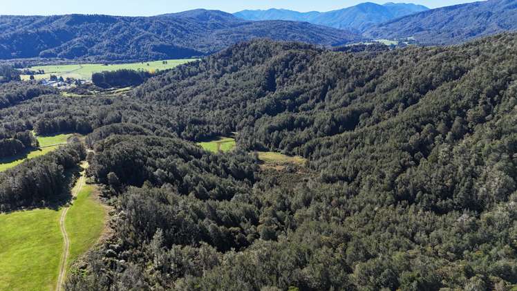850 Browns Creek Road Inangahua_8