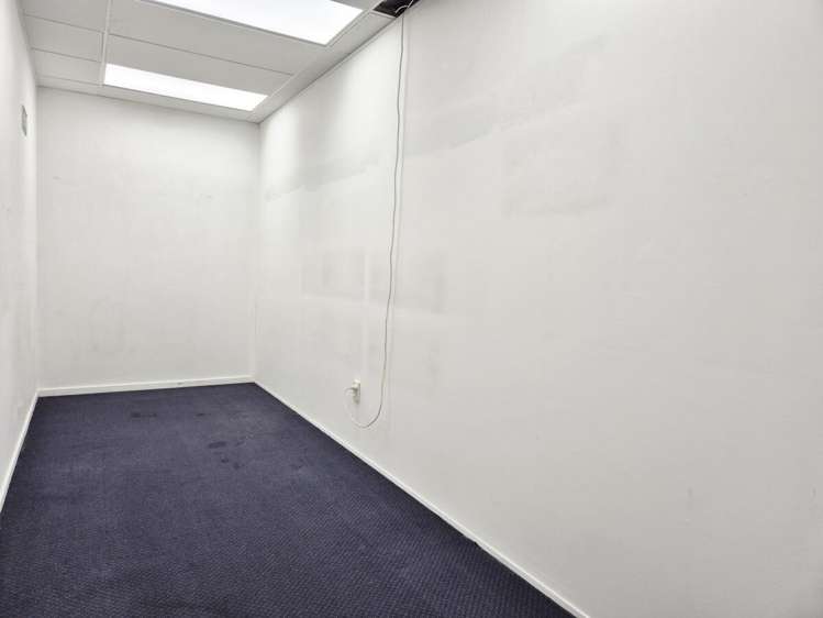 15 Walter Street Te Aro_6