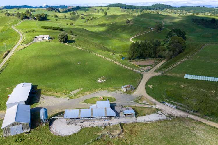 1888 Old Taupo Road Wiltsdown_16