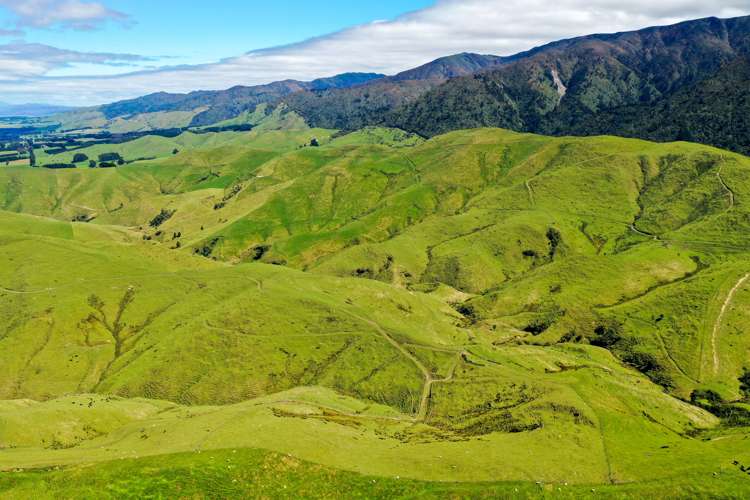 412 Tamaki West Road Dannevirke_9