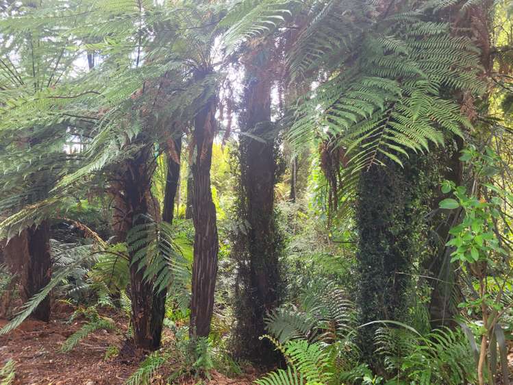 127 Brickfield Road Hokitika_43