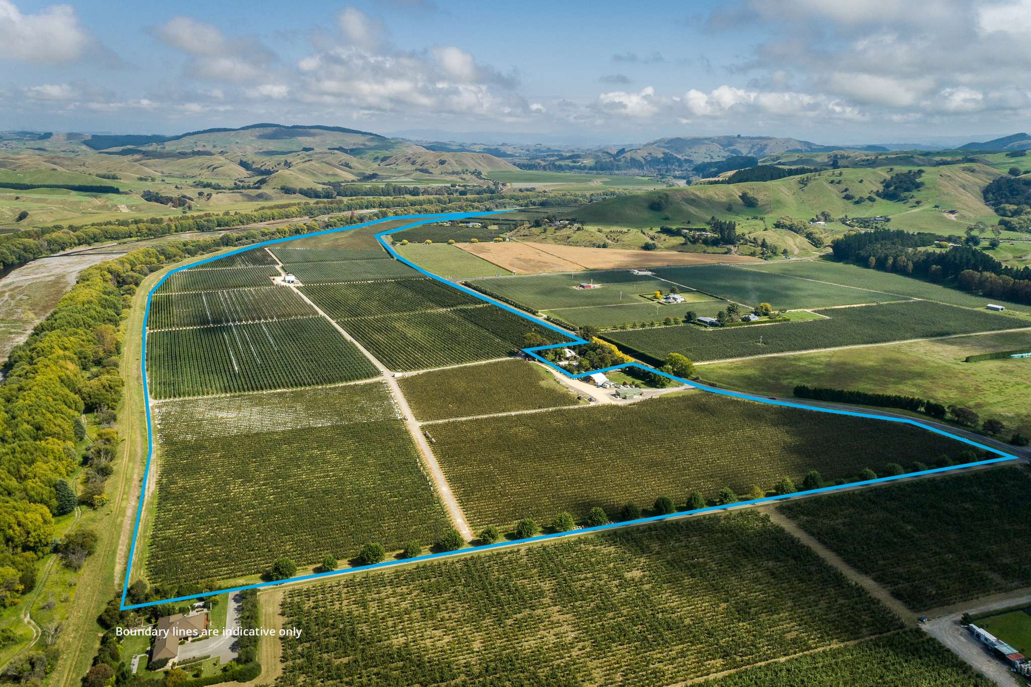 Hawke’s Bay mega-orchard sure to impress