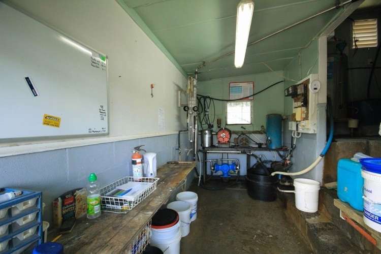 293 Lindquist Road Otamatea Surrounds_11