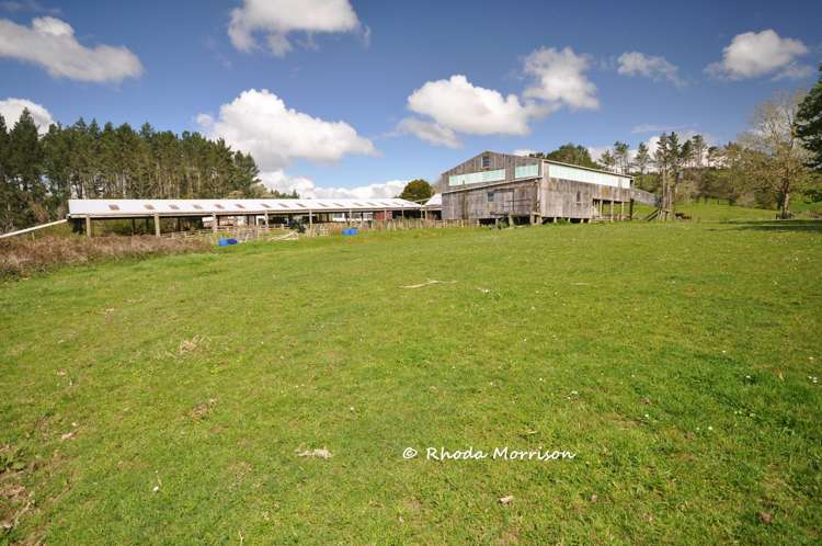 726 Paparoa Station Road Maungaturoto_72