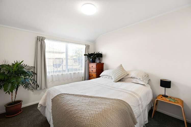 9A Short Street Claudelands_12