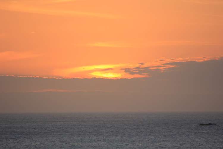 1 Ben Avon Grove Cape Palliser_8