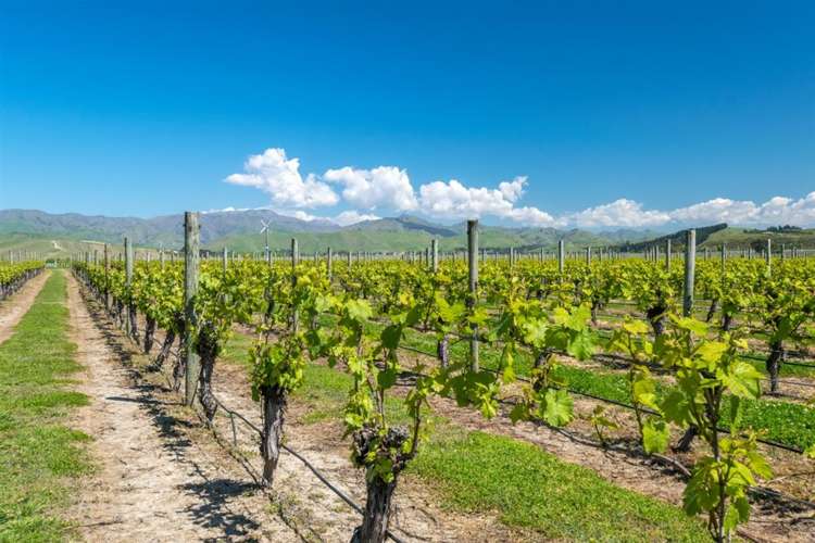 671 New Renwick Road Fairhall_51