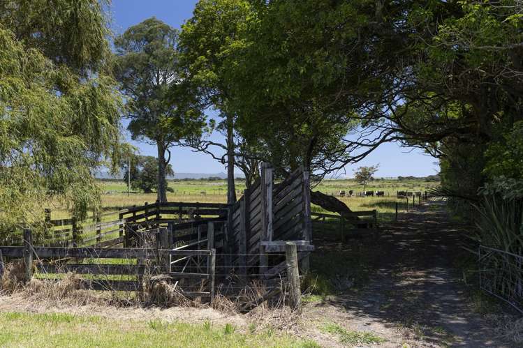 810 Gill Road Kaitaia_39