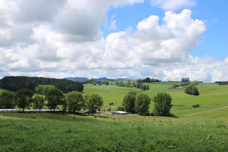 1250 Arapuni Road Parawera_20