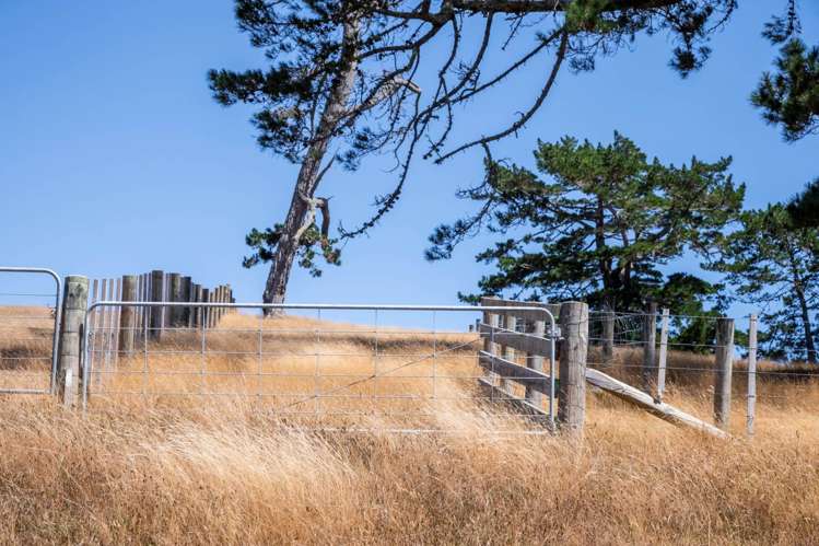 9 Aurea Terrace Kumeu_5