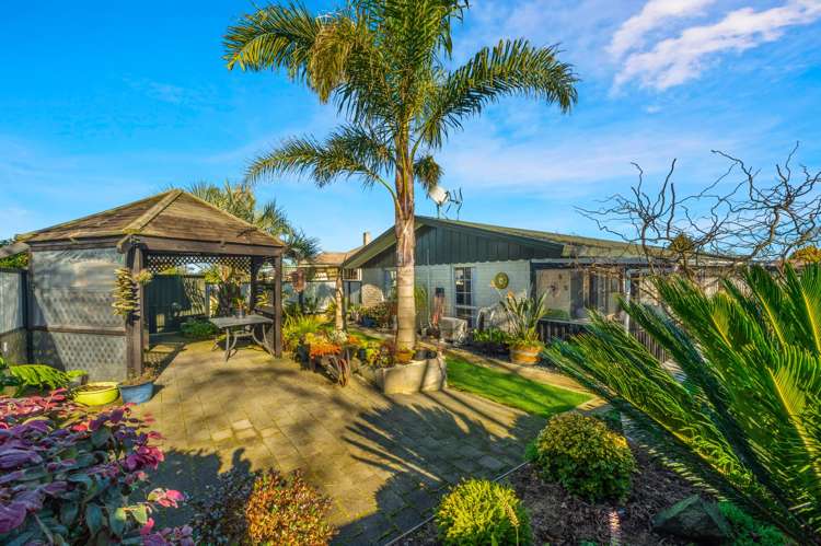 220a Studholme Street Morrinsville_15