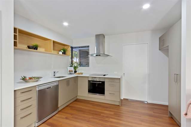 84 Poulson Street Addington_4