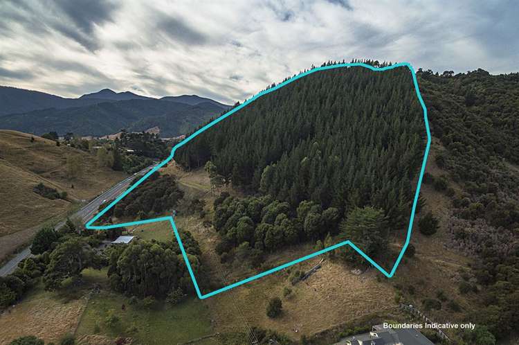 584 Wakapuaka Road Wakapuaka_3