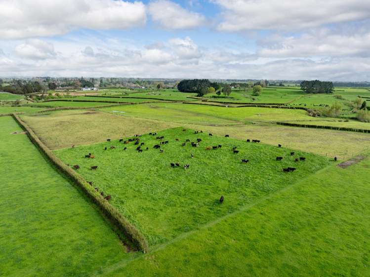 334 Okauia Springs Road Okauia_17