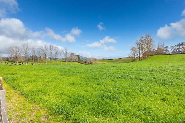 275 St Leger Rd Kihikihi_4