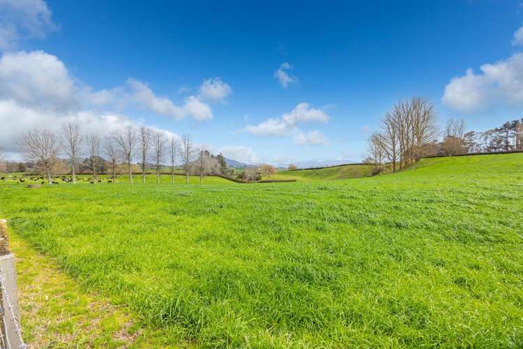 275 St Leger Rd Kihikihi_4