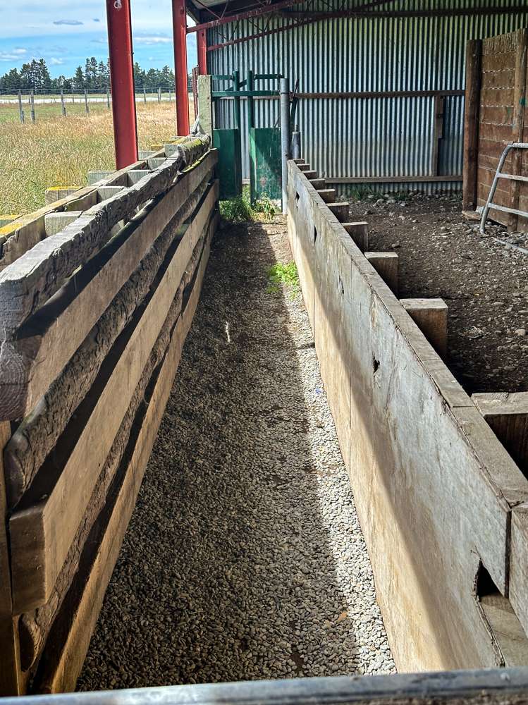 164 Oswald Road Te Anau Surrounds_17