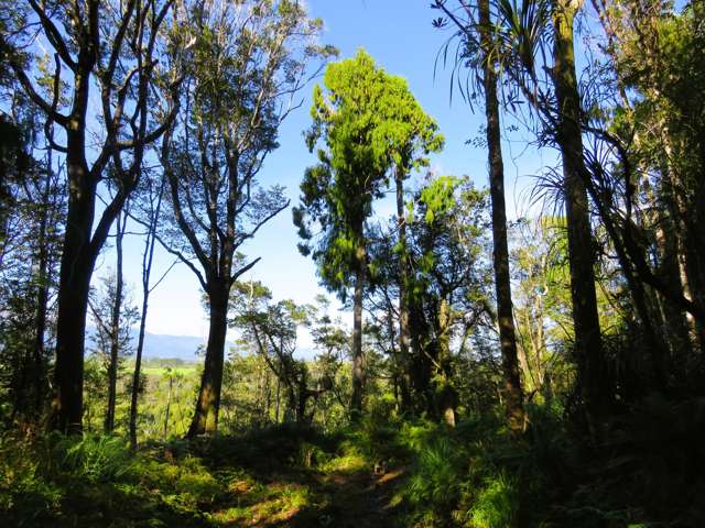 5/1290 Tanglefern Row Charleston_4