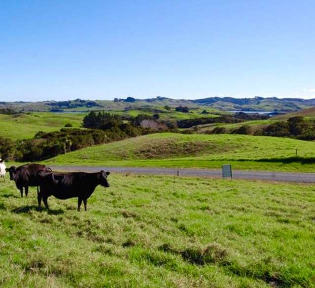 16 Barnfield Road Kaiwaka_3