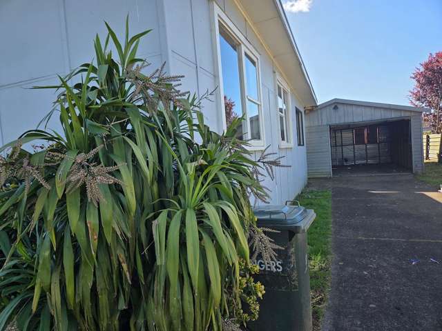 10 Freyberg Crescent Pukekohe_2