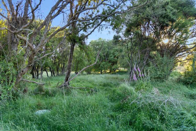 849 Kincaid Road Kaikoura_25