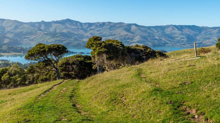 5162 Christchurch Akaroa Road French Farm_33