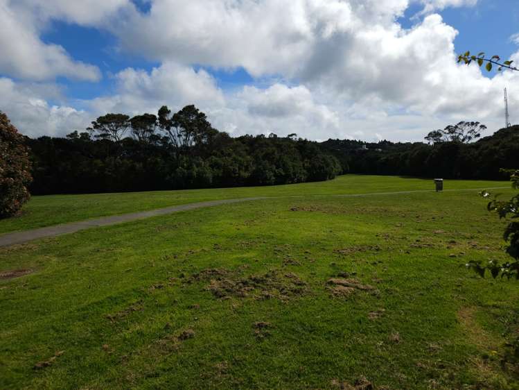 34 Widdison Place Albany_12