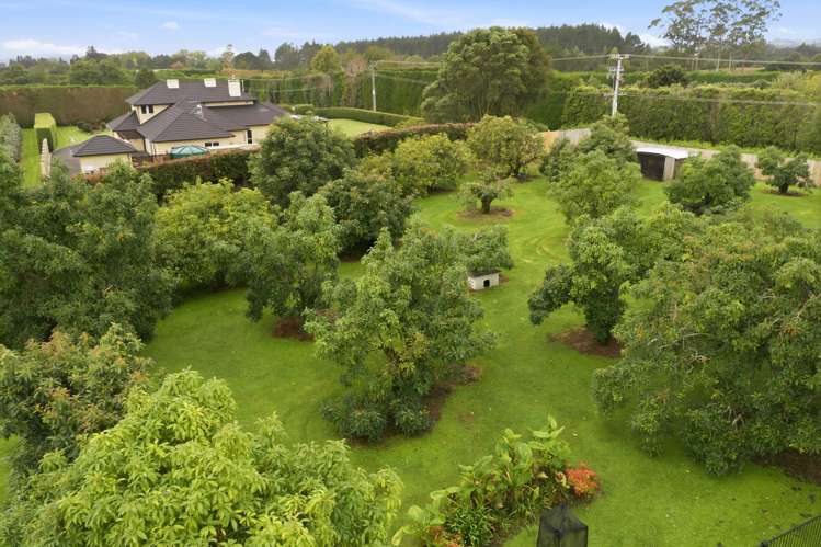 800 Pyes Pa Road Pyes Pa_43