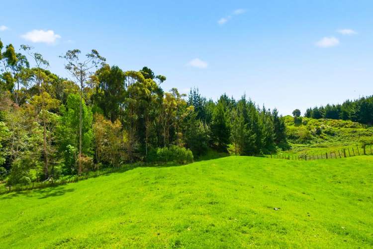 340D Ngarara Road Waikanae_23