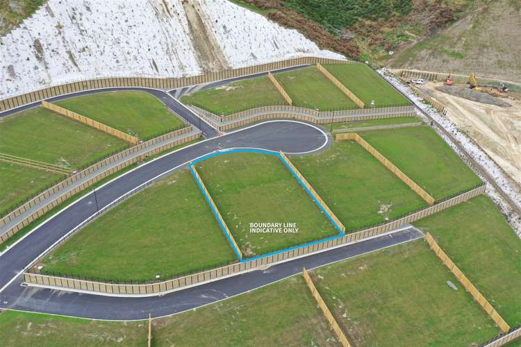 26 Carex Rise Cracroft_3