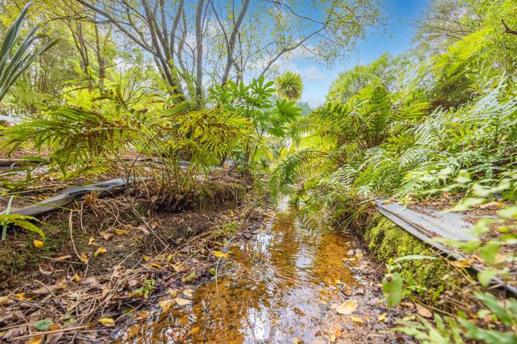 3 Bush View Drive Raglan_32