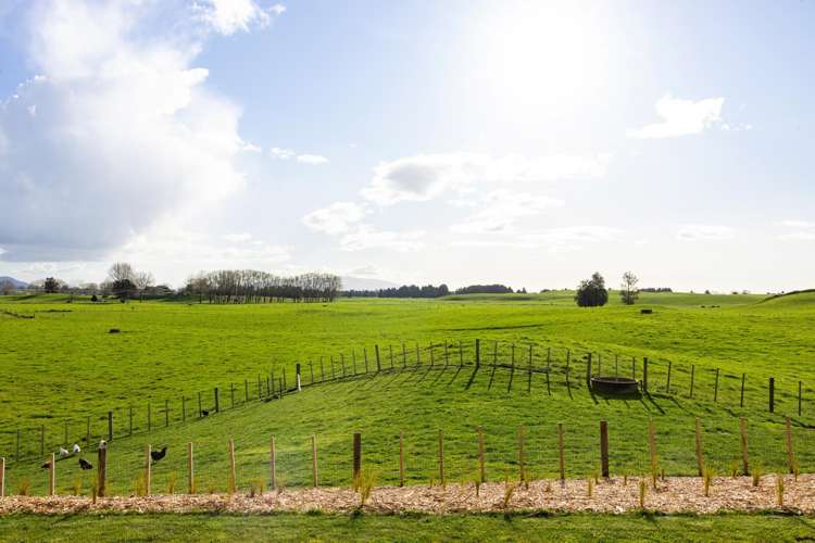 1136 Roto O Rangi Road Rotoorangi_29