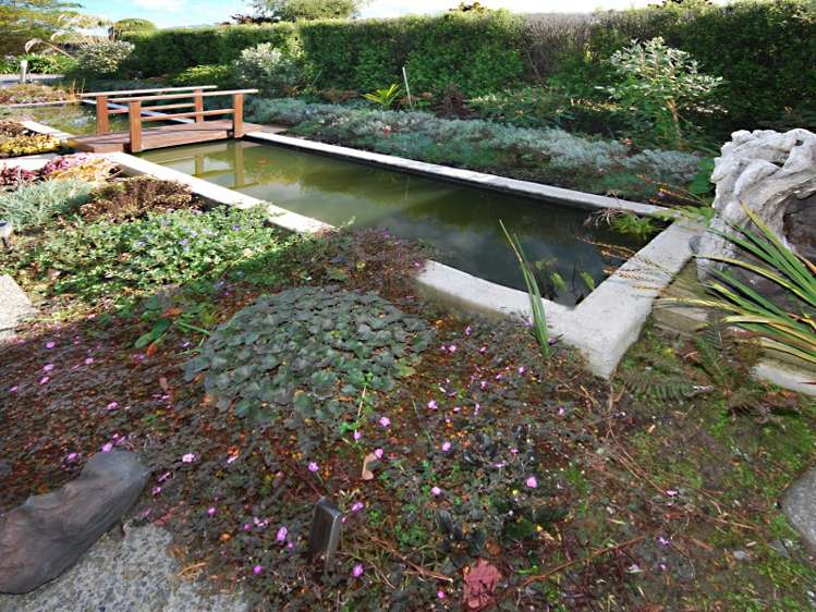 7 Francis Lane Masterton_16