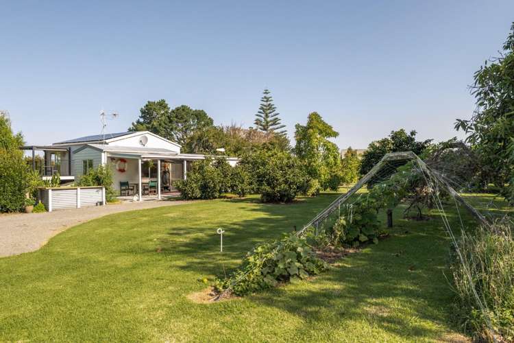 10A Bridgman Lane, Tanners Point Katikati_14