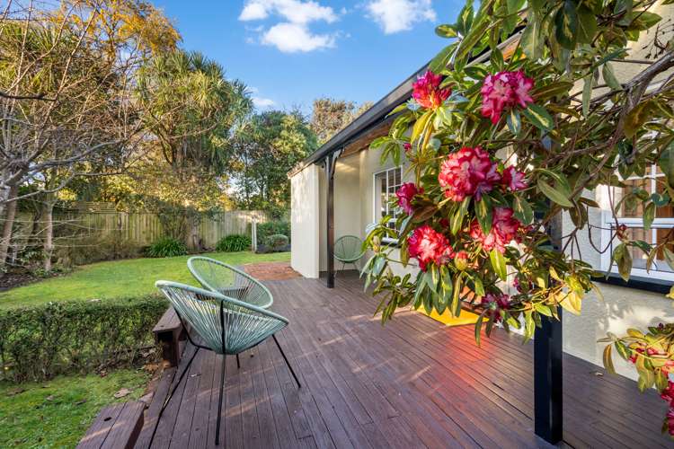 14 Young Street Somerfield_15