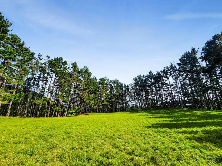 709 Ingahape Road Ohangai_24