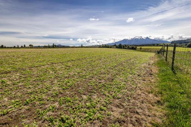 Lot 13 Matapuna Road Horopito_4