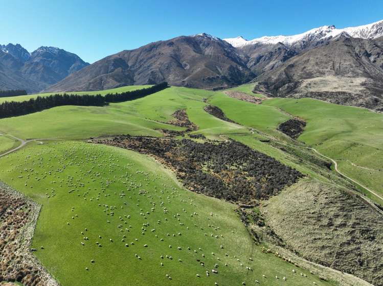 2211 Blackmount Redcliff Road Whare Creek_13