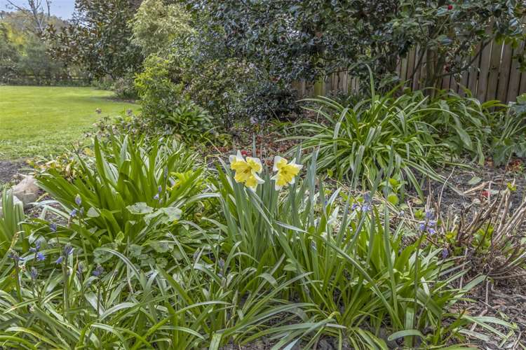 11 Terrace Road Leithfield_8