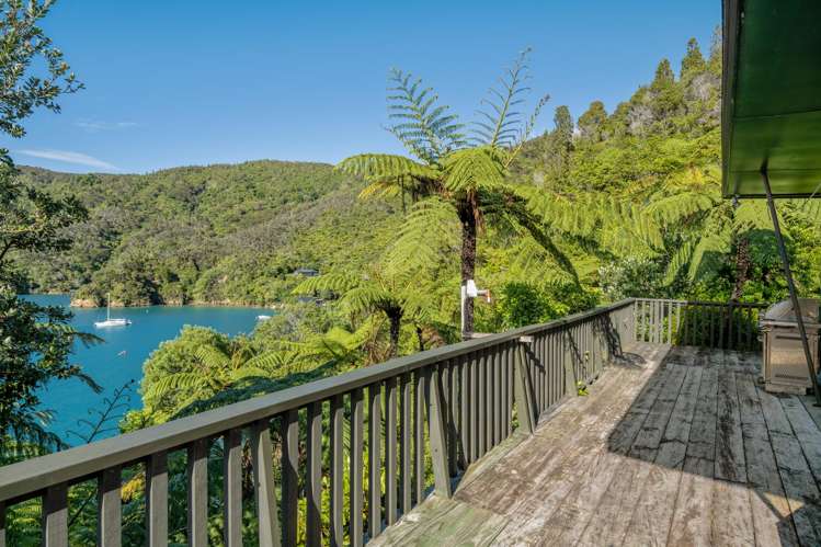 Lot Lot 1/- Blackwood Bay Queen Charlotte Sound_8