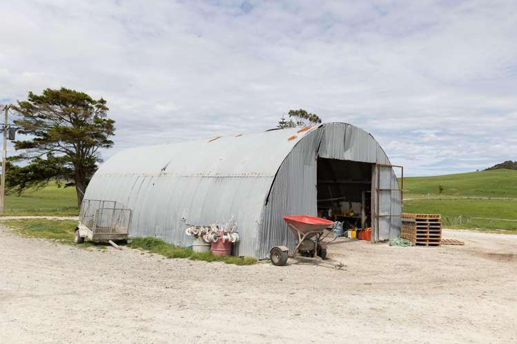 220 Blong Road Ruawai_13